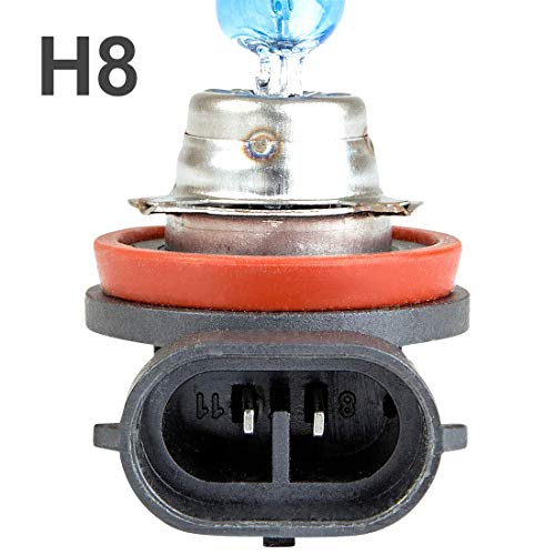 H8-Birne Gread Halogenlampe Xenon Style