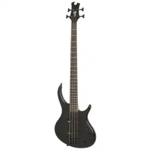 Bass