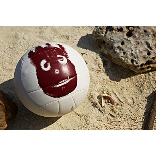Beachvolleyball Wilson Volleyball, Outdoor, Freizeitspieler, Cast away