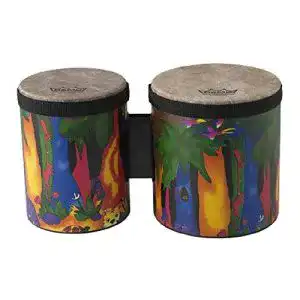 Bongo