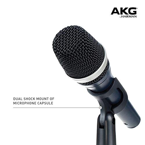 Dynamisches Mikrofon AKG D5 Professionelles