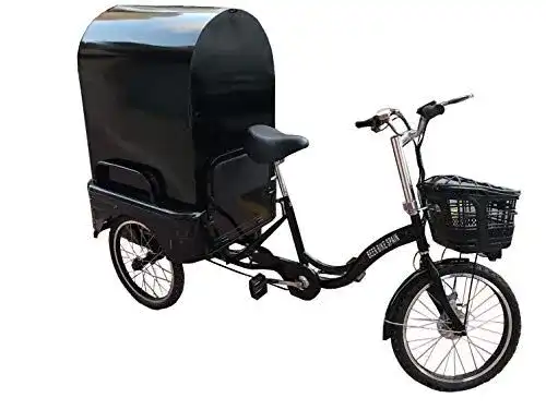 E-Bike-Dreirad Beer Bike Spain Elektrisches Dreirad für Erwachsene.
