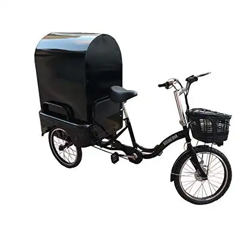 E-Bike-Dreirad Beer Bike Spain Elektrisches Dreirad für Erwachsene.