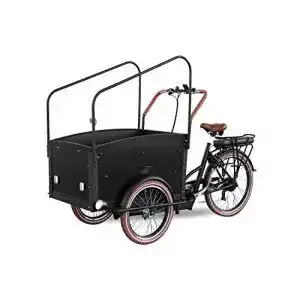 E-Bike-Dreirad Kidix Elektrofahrrad Qivelo City E-Bike 250W