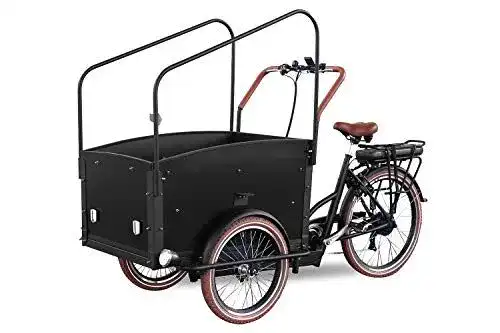 E-Bike-Dreirad Kidix Elektrofahrrad Qivelo City E-Bike 250W