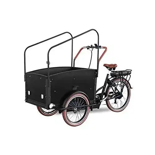 E-Bike-Dreirad Kidix Elektrofahrrad Qivelo City E-Bike 250W
