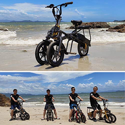 E-Bike-Dreirad myself Elektrofahrrad Klappbar Dreirad Erwachsene