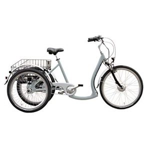 E-Bike-Dreirad Wild Eagle Unisex – Erwachsene Deluxe Dreirad