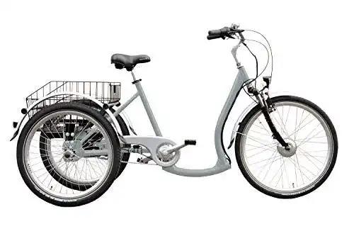 E-Bike-Dreirad Wild Eagle Unisex – Erwachsene Deluxe Dreirad