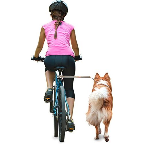 Fahrrad-Leinenhalter dobar 62000 Walky Dog Plus – Hundeleine