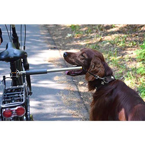 Fahrrad-Leinenhalter dobar 62000 Walky Dog Plus – Hundeleine