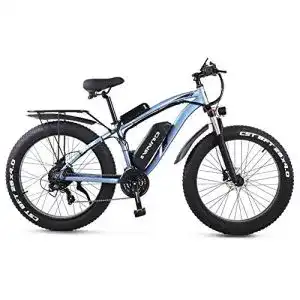 Fatbike