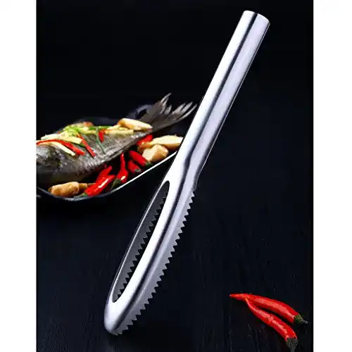 Fischentschupper FLAMEER Fischschupper Fischschaber, 26.5×3.5 cm