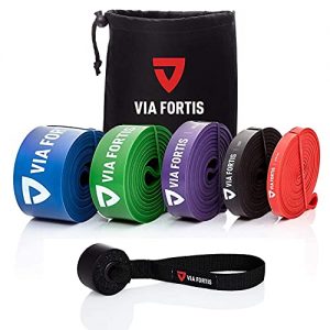 Fitnessband VIA FORTIS Premium Resistance Bands + Übungsanleitung und Tasche