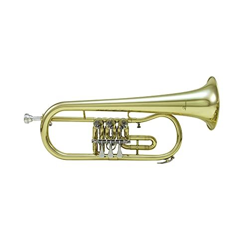 Die beste fluegelhorn dimavery fh 310d b drehventil Bestsleller kaufen
