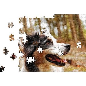 Fotopuzzle hansepuzzle ‘Vero-Print’ Foto-Puzzle – 500 Teile
