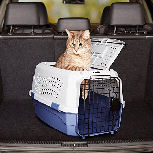 Hundebox Amazon Basics Transportbox für Haustiere