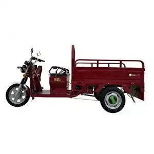 Lastenrad GinkGo C1 E-Cargo-Trike rot E- E-Lastentrike E-Lastendreirad