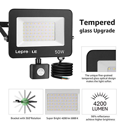 LED-Außenstrahler LEPRO 50W LED Strahler Außen