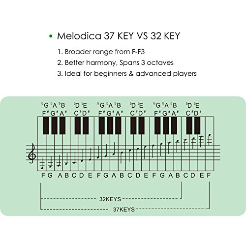 Melodica Mugig 37 Tasten, breite Palette von F bis F3