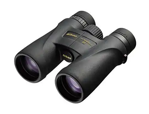 Nikon-Fernglas Nikon Monarch 5 10X42 Fernglas 10-fach, 42mm