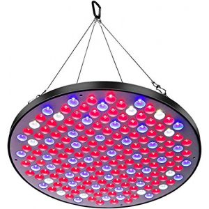 Pflanzenlampen Niello ® Reflector 50W LED Pflanzenlampe, LED