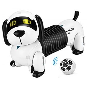 Roboterhund ALLCELE Roboter Hund Kinderspielzeug