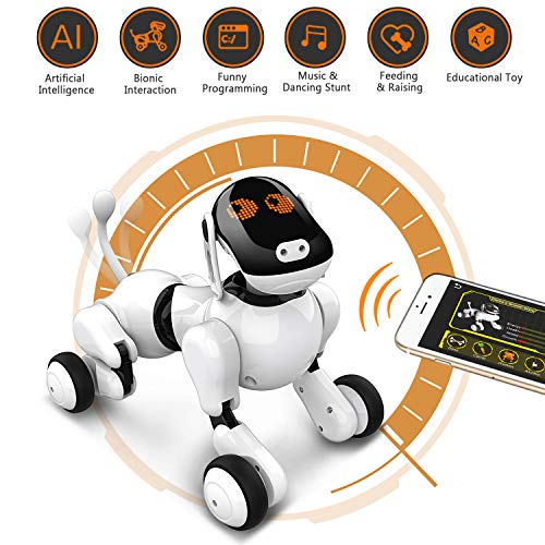 Roboterhund Anysun Intelligentes Roboter Hundespielzeug