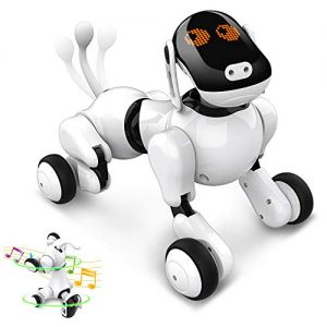 Roboterhund Anysun Intelligentes Roboter Hundespielzeug