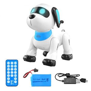 Roboterhund Enjoyyouselves Fernbedienung Hund Roboter