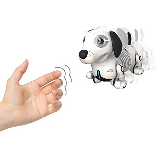 Roboterhund Silverlit Germany GmbH YCOO – ROBO DACKEL