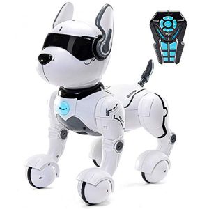 Roboterhund Top Race Fernbedienung Hund Smart Mini Pet