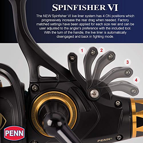 Spinnrolle Penn Spinfisher