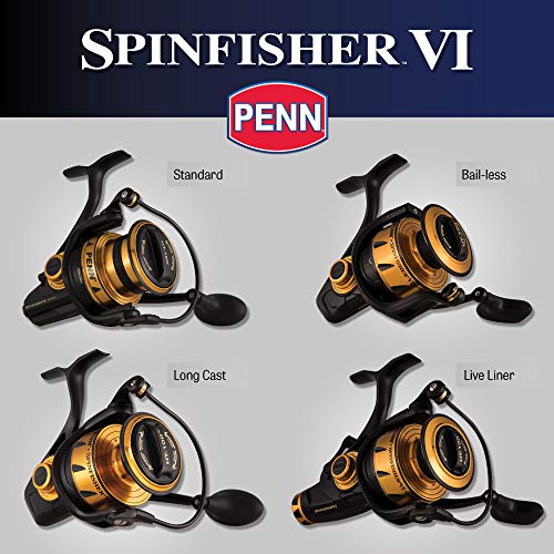Spinnrolle Penn Spinfisher