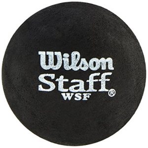 SquashbÃ¤lle Wilson Squash-Ball, Staff, 2 Stück