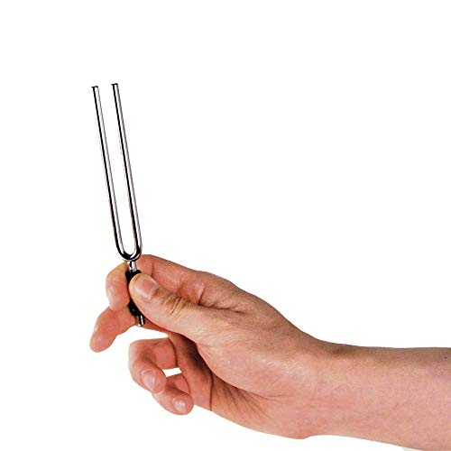 Stimmgabel Planet Waves PWTF-A Guitar Tuners Tuning Fork