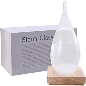 Sturmglas EQARD Sturmglas Dekorative Flasche (L)