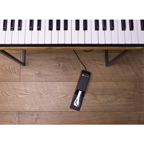 Sustain-Pedal M-Audio SP-2 – Universal Sustain Pedal Piano Style