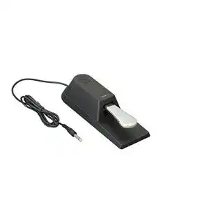 Sustain-Pedal