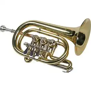 Taschentrompete