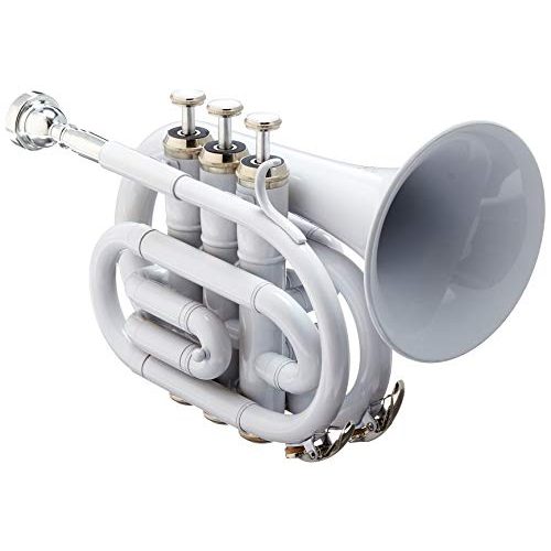 Die beste taschentrompete ravel rpkt1wht pocket trumpet white Bestsleller kaufen