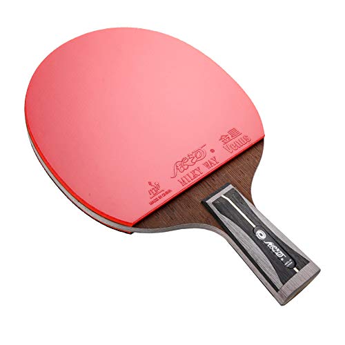 TischtennisschlÃ¤ger Profi XGGYO 14 Sterne Profi Tischtennisschläger, Advanced Carbon Ping Pong Schläger