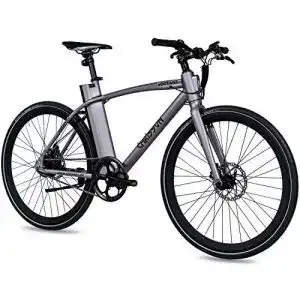 Trekking-E-Bike CHRISSON 28 Zoll E-Bike City Bike eOCTANT