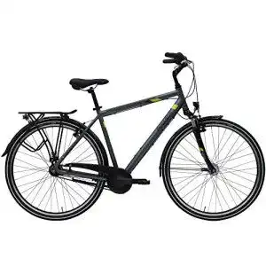 Trekkingrad ZEG Pegasus Piazza 21 Herrenfahrrad 21 Gang 2020, Rahmenhöhe