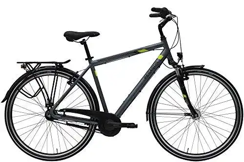 Trekkingrad ZEG Pegasus Piazza 21 Herrenfahrrad 21 Gang 2020, Rahmenhöhe