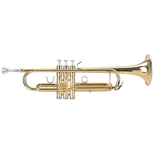 Die beste trompete classic cantabile tr 30l bb schallbecher messing Bestsleller kaufen