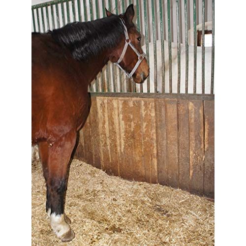 Einstreu Pferde Jumbogras ® Großtier-Pferde-Einstreu Miscanthus