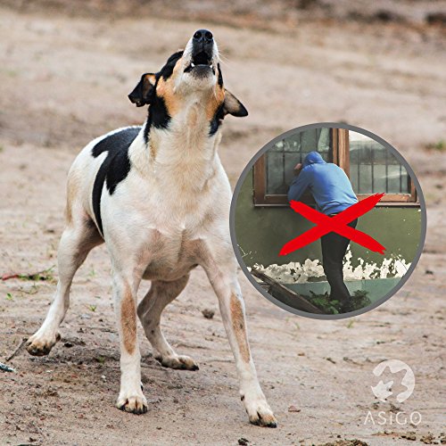 Elektronischer Wachhund Asigo mit Hundegebell