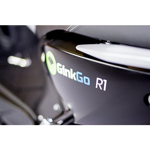 Elektroroller GinkGo R1 mit Straßenzulassung – Zweisitzer – 45 km/h