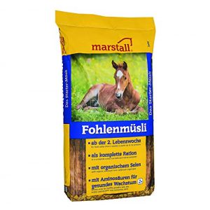 Fohlenfutter marstall Premium-Pferdefutter Fohlenmüsli, 1er Pack
